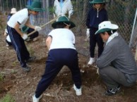 　　　　　　　植栽 （和歌山県田辺市） 　　　地元の田辺市立三川小学校との共同作業