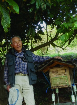 日本ミツバチ養蜂中川