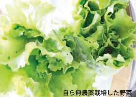 自ら無農薬栽培した野菜