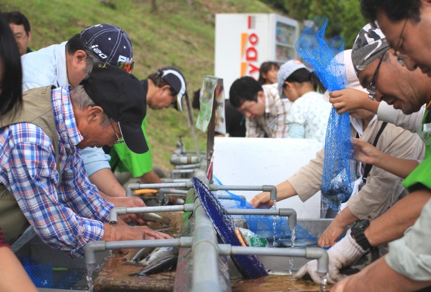 トレカーサ感謝祭マス釣り