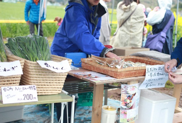 第６回菜の花まつり愛川町