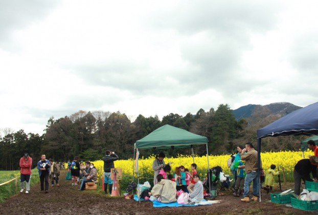 第６回菜の花まつり愛川町