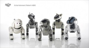 aibo