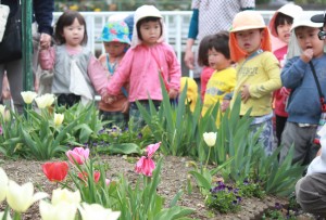 麦っ子畑保育園