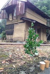 愛川町農のある暮らし自然素材住宅