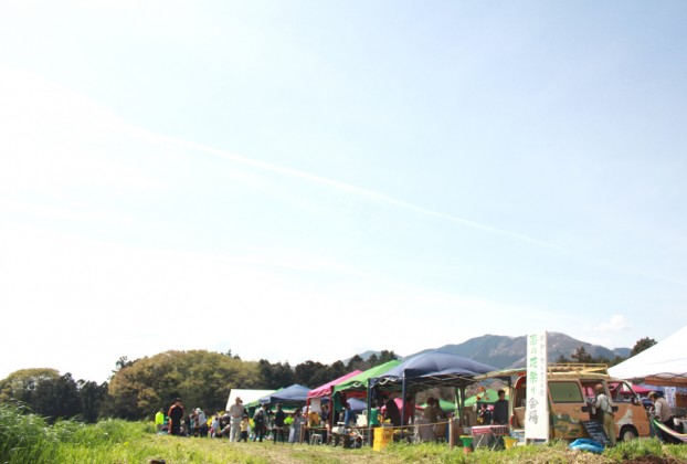 愛川町菜の花まつり