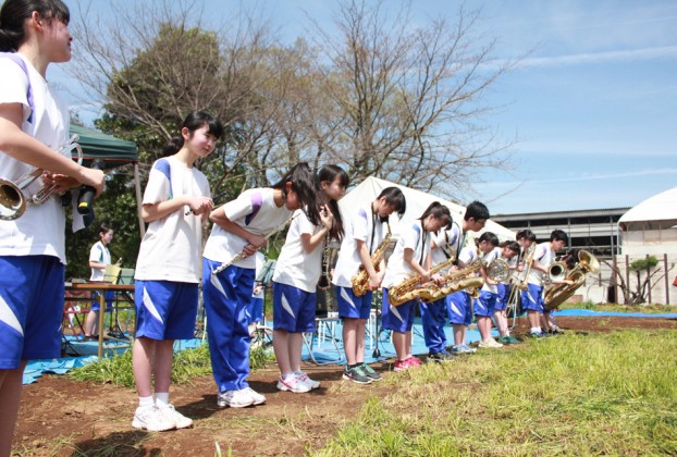 愛川町菜の花まつり