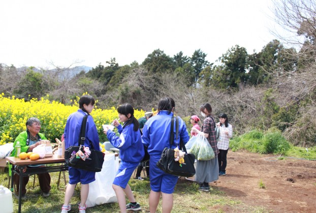 愛川町菜の花まつり