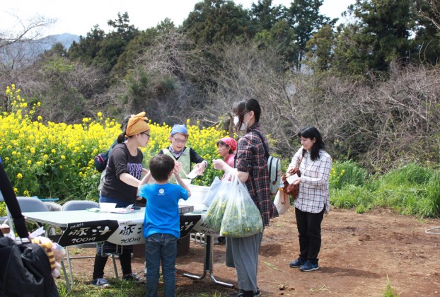 愛川町菜の花まつり