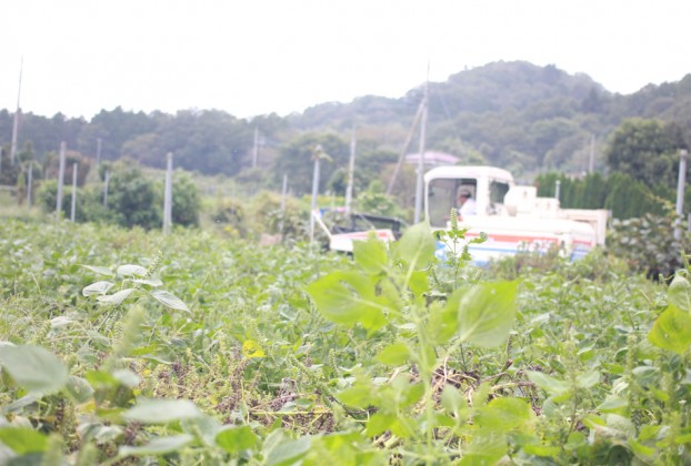 えごま油無農薬