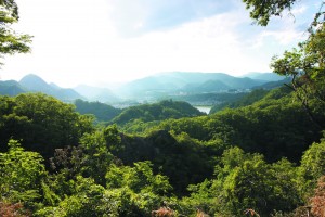 藤野町