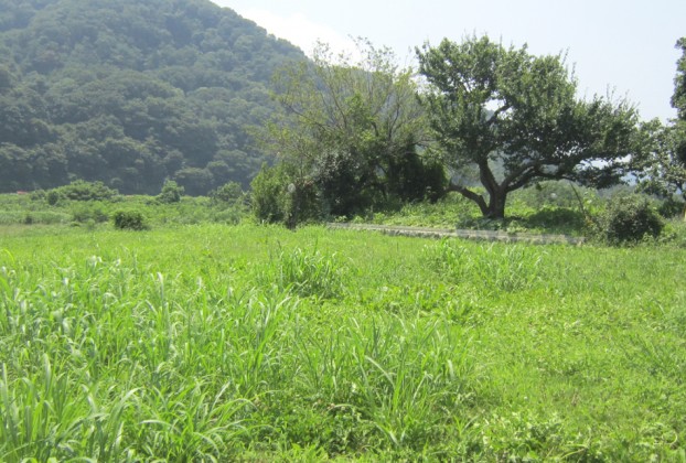 なるだけ敷地内に大きく建物の広さを確保