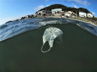 森戸海岸マスク