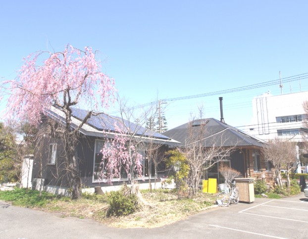 平屋太陽光パネル